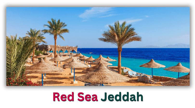 Top 10 Tourist Places in Saudi Arabia